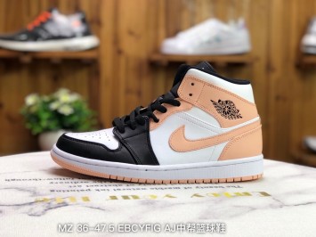 Jordan 1 Mid  554724-133