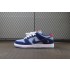 Dunk Low Pro SB Decon Why SO Sad DX5549-400